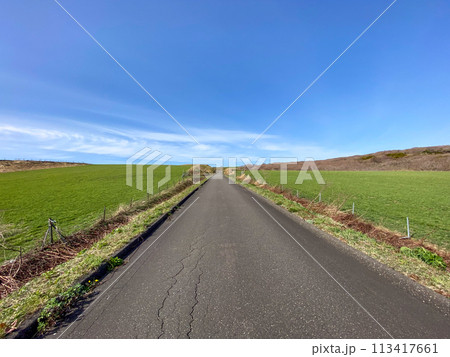 焼尻島のまっすぐ続く一本道 113417661