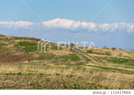 離島の原っぱの風景 113417668