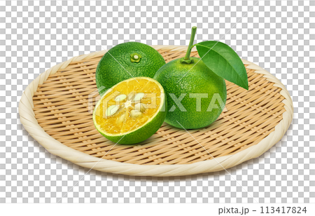 Shikuwasa illustration realistic white background Shikuwasa illustration realistic white background 113417824