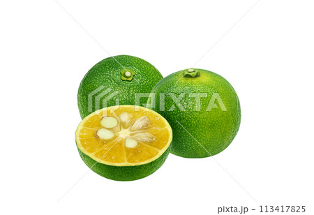 シークヮーサーのイラスト リアル 白バック シークヮーサーのイラスト リアル 白バック 113417825