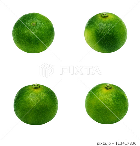 シークヮーサーのイラスト リアル 白バック 113417830