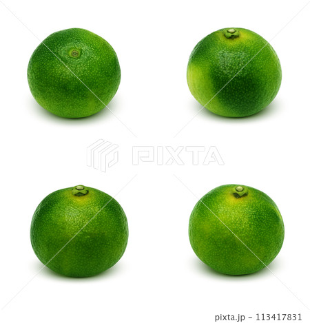 シークヮーサーのイラスト リアル 白バック 113417831