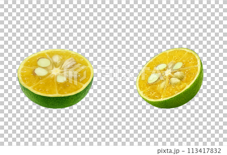 シークヮーサーのイラスト リアル 白バック シークヮーサーのイラスト リアル 白バック 113417832