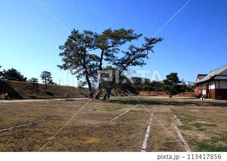 佐賀縣佐賀市　佐賀城公園（佐賀の文化・歴史施設） 113417856
