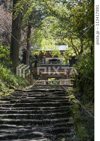 鎌倉244　浄智寺1　新緑 113417891