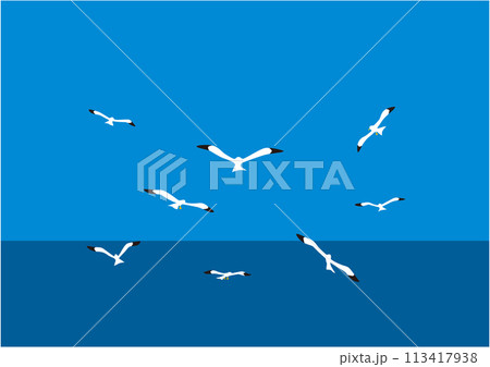 水平線に飛ぶカモメの後姿のイラスト 113417938