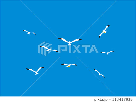 青空に飛ぶカモメの後姿のイラスト 青空に飛ぶカモメの後姿のイラスト 113417939