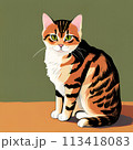 お座りしている猫 113418083