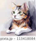 凛々しい猫 113418084