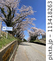 宝達志水町の桜 113418263