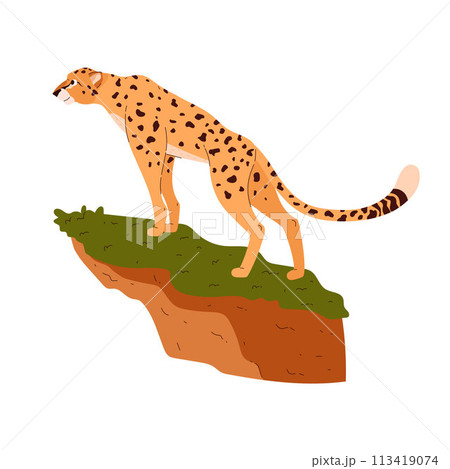 African cheetah standing on cliff, vector beautiful big wild cat with long tail and black spots, fastest animal predator 113419074