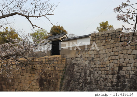 特別史跡　大阪城公園　お花見  113419114