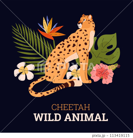 Vector illustration with cheetah, monstera and fern, as well as exotic flowers on a black background. 113419115
