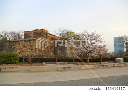 特別史跡　大阪城公園　お花見  113419117