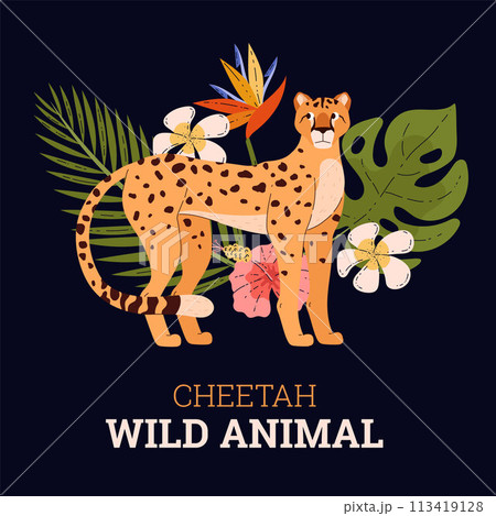 Jungle cheetah with exotic plants vector illustration 113419128