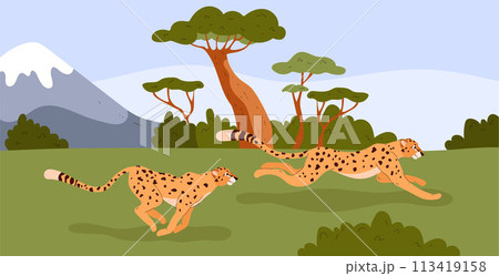 Cheetahs running in savanna vector illustration 113419158