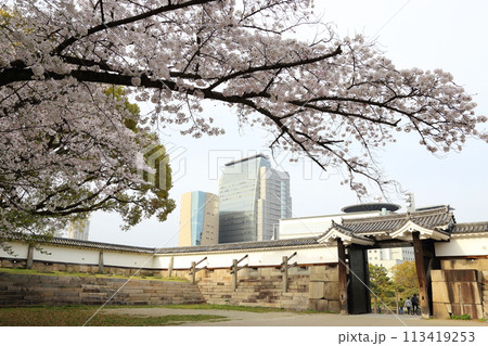 特別史跡　大阪城公園　お花見 〈大手門〉 113419253