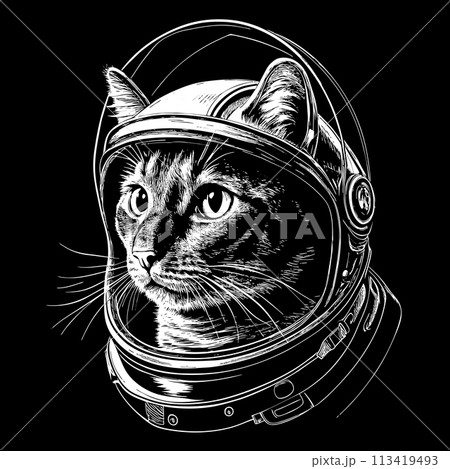 Realistic Drawing of a Cat Astronaut in Helmet in Engraving Style, White on a Black Background, using a Negative Space. AI generated. 113419493