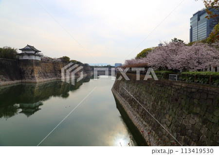 特別史跡 大阪城公園 お花見 〈南外堀・城南地区〉 特別史跡 大阪城公園 お花見 〈南外堀・城南地区〉 113419530
