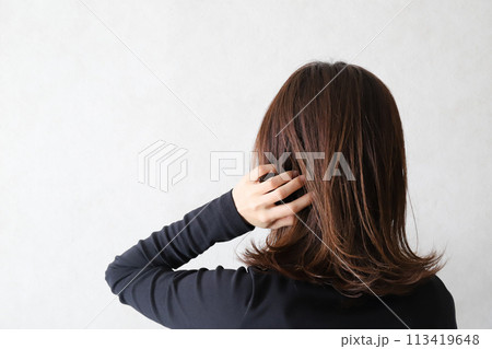 髪の毛を触る女性　ヘアケアイメージ 113419648