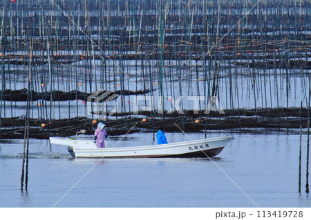 大牟田市　有明海　海苔畑、 113419728