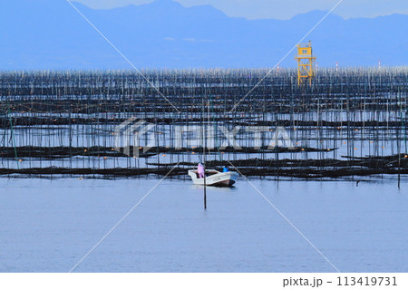 大牟田市 有明海 海苔畑、 大牟田市 有明海 海苔畑、 113419731