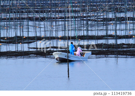 大牟田市 有明海 海苔畑、 大牟田市 有明海 海苔畑、 113419736