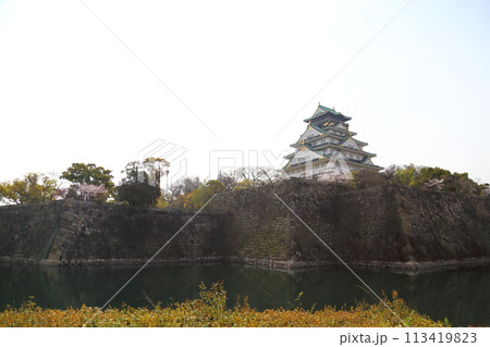 特別史跡　大阪城公園　お花見 〈天守閣〉 113419823
