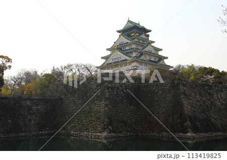 特別史跡　大阪城公園　お花見 〈天守閣〉 113419825