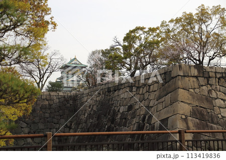 特別史跡 大阪城公園 お花見 〈天守閣〉 特別史跡 大阪城公園 お花見 〈天守閣〉 113419836