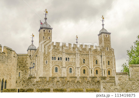 Tower of London, UK 113419875
