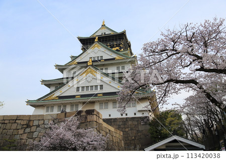 特別史跡 大阪城公園 お花見 〈天守閣〉 特別史跡 大阪城公園 お花見 〈天守閣〉 113420038