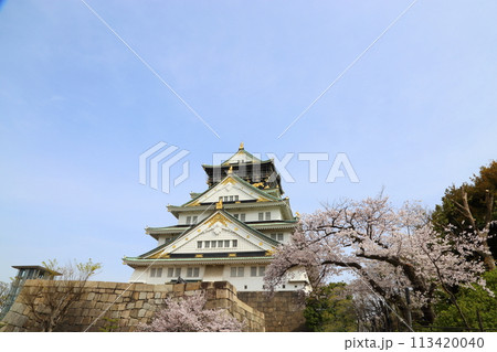 特別史跡 大阪城公園 お花見 〈天守閣〉 特別史跡 大阪城公園 お花見 〈天守閣〉 113420040