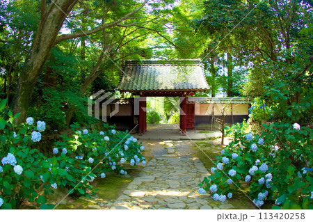 [愛知県]額田郡幸田町の本光寺 113420258