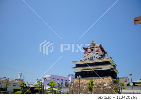 [愛知県]清須市朝日城屋敷の清洲城 113420268