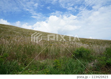 青空のもとすがすがしい草原の景色 青空のもとすがすがしい草原の景色 113420423