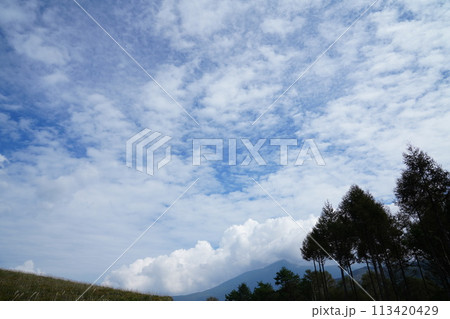 青空のもとすがすがしい草原の景色 青空のもとすがすがしい草原の景色 113420429