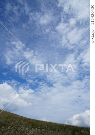 青空のもとすがすがしい草原の景色 113420430