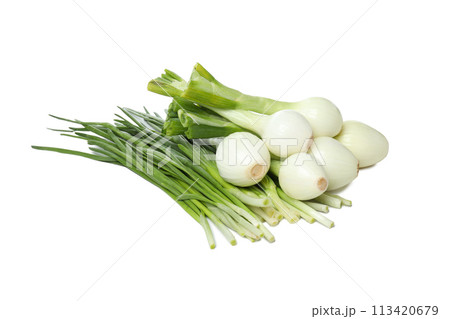 PNG, Green onion, isolated on white background PNG, Green onion, isolated on white background 113420679