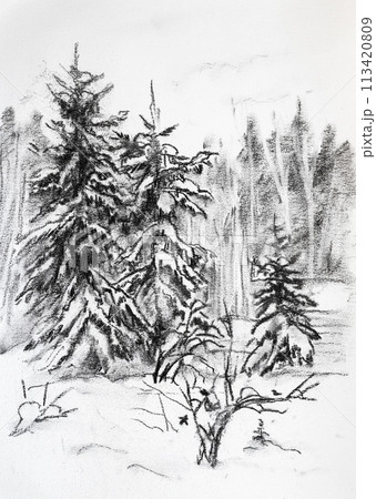 winter landscape with spruces 113420809