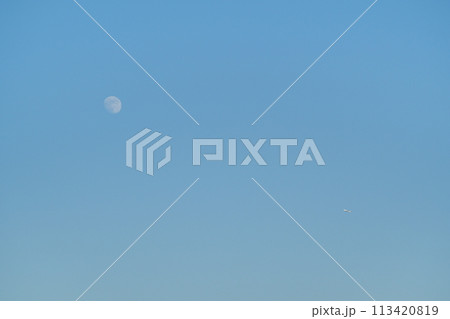 真昼の月に飛行機 113420819