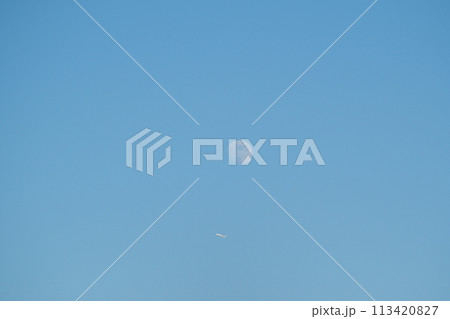 真昼の月に飛行機 113420827