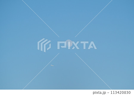 真昼の月に飛行機 113420830