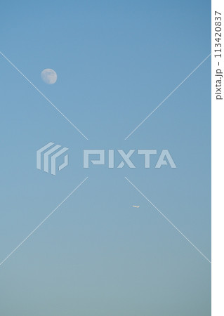 真昼の月に飛行機 113420837