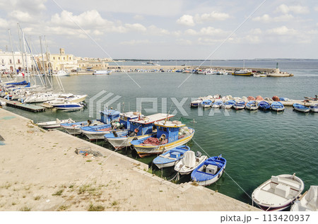 Scenic view of Gallipoli, Salento, Italy 113420937
