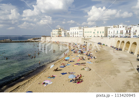 Scenic view of Gallipoli waterfront, Salento, Italy 113420945