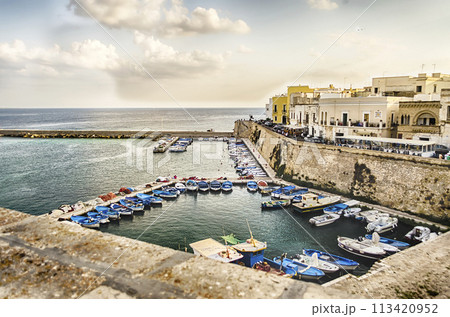 Scenic view of Gallipoli, Salento, Italy 113420952