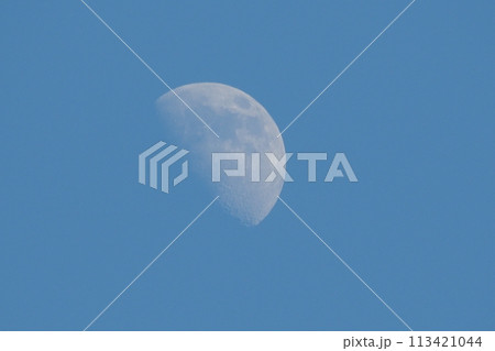 真昼の月 真昼の月 113421044