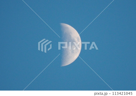 真昼の月 113421045