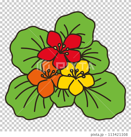 戰鬥蜘蛛 戰鬥蜘蛛 113421108